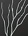 LIGHTSHARE 8FT 132 LED Birch Tree,Home,Festival,Party,Christmas,Indoor and Outdoor Use,Warm White