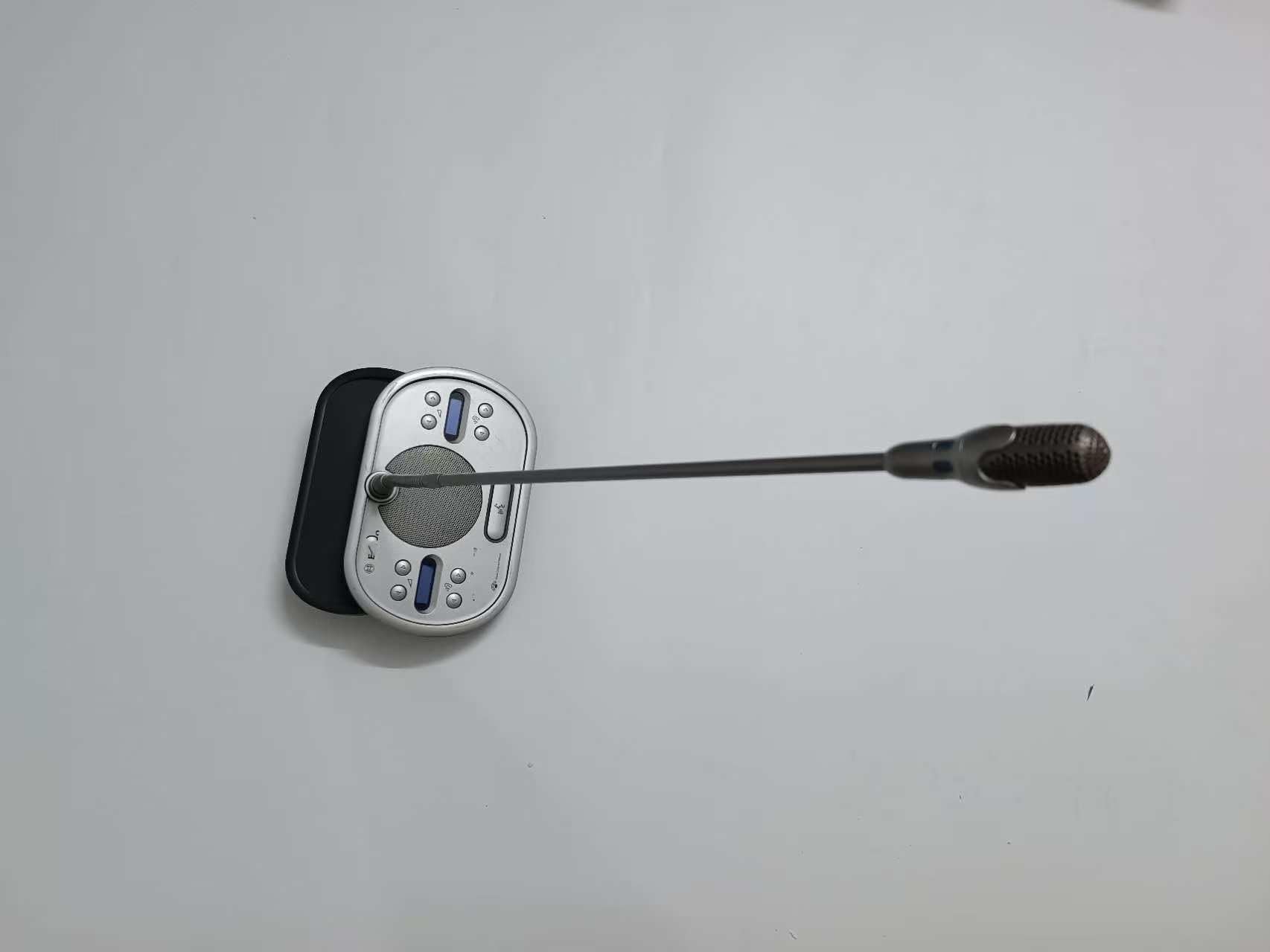 Royer R-10 Ribbon Microphone - Matched Pair