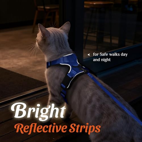 Image of Dooradar Cat Harness and Leash Set, Escape Proof Safe Adjustable Kitten Vest Harnesses for Walking, Easy Control Soft Breathable Mesh Jacket with Reflective Strips for Cats, Blue, XS