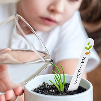 Whaline 200Pcs Thick Plastic Plant Labels with Hole White Waterproof Garden Stake Tag Signs for Greenhouse Garden Seedlings Flowers Spotted Plants ...