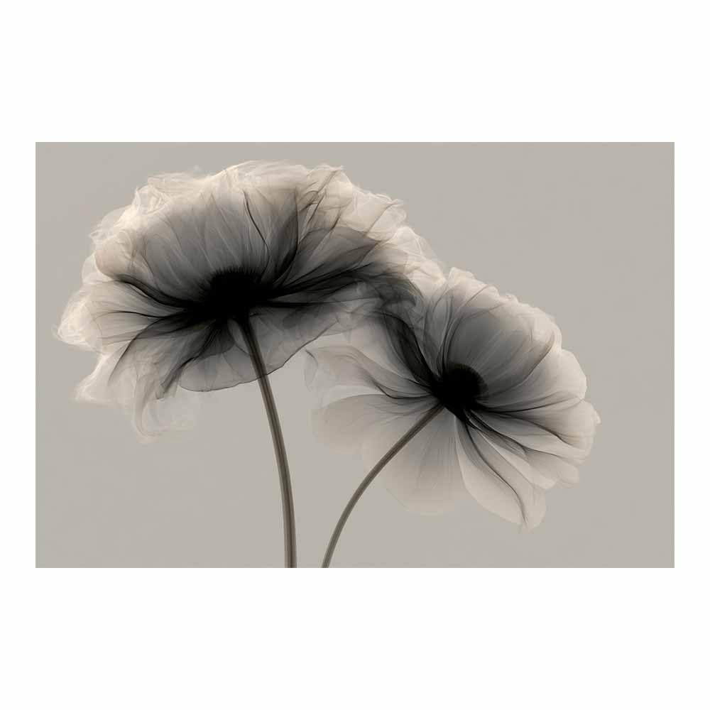 HOQIU Black And White Pictures Soft Smoke Poppies canvas wall art, decorative paintings, for Bedroom Living Room Bathroom Office Home Decoration(Multicolor)-60x80cm Unframed