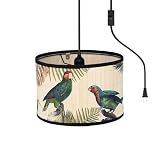 Bioaqua Bamboo Pendant Light with Plug in Cord （15ft）,Macrame Boho Hanging Lamp with Pattern,Bohemian Hanging Lights for Kitchen Bedroom Living Room Decor Bamboo lamp Shade