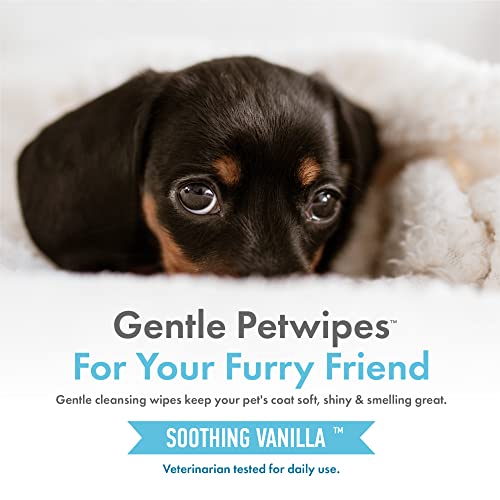 Petkin Hemp Pet Wipes For Dogs And Cats - With Hemp Oil & Soothing Vanilla Scent, 200 Count - Soothes, Calms & Conditions - Wipes For Pet's Face, Eyes And Body - For Home Or Travel #TOP6