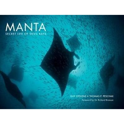 Manta