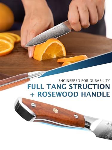 Knife Set, Damascus Knives 2pcs | VG-10 Core Sharp Blade & Ergonomic Natural Rosewood Handle | Full Tang Kitchen Knife Forged 67 Layers Damascus Stainless | Gift Box - Image 6