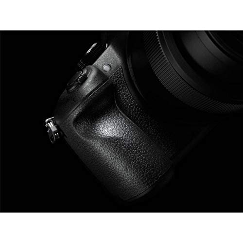 Image of PANASONIC LUMIX FZ1000 4K Point and Shoot Camera, 16X LEICA DC Vario-ELMARIT F2.8-4.0 Lens, 21.1 Megapixels, 1 Inch High Sensitivity Sensor, DMC-FZ1000 (USA BLACK)