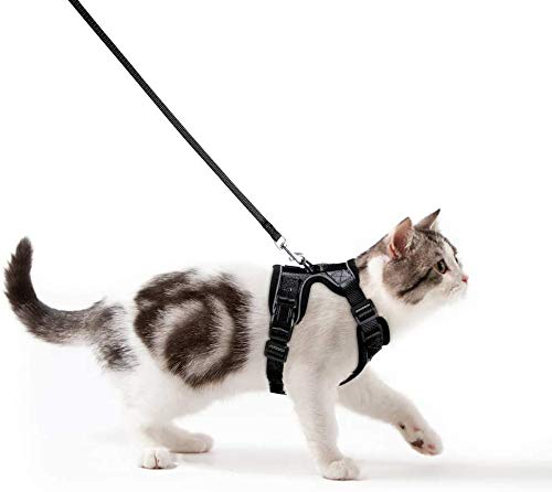 Rabbitgoo Harnais Et Laisse Pour Chat Pour La Marche Anti Echappe Doux Reglable Pour Chats De Petite Et Moyenne Taille Facile A Controler Avec Bandes Reflechissantes Noir Xs Tour De Poitrine 34 3