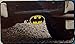 PLASTICOLOR 002209R01 Warner Brothers Warner. Bros Batman Hitch Cover, 1 Pack