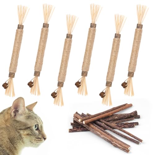 OSDUE Katzenminze Sticks, 21 Stück Matatabi Kausticks mit Ball Katzenminze Spielzeug Katzen Kauhölzer Sticks für Katzen Zahnpflege & Gegen Mundgeruch Natürlich Sicher Katzensticks Kausticks Set