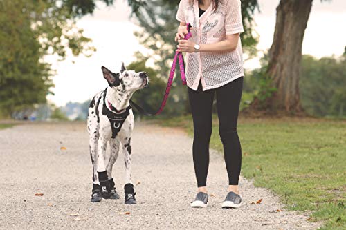 RC Pets Strider Dog Boot Water Resistant Paw Protection MediumBlack