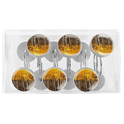 Crochets pour rideau de douche forêt d'automne en acier inoxydable x12