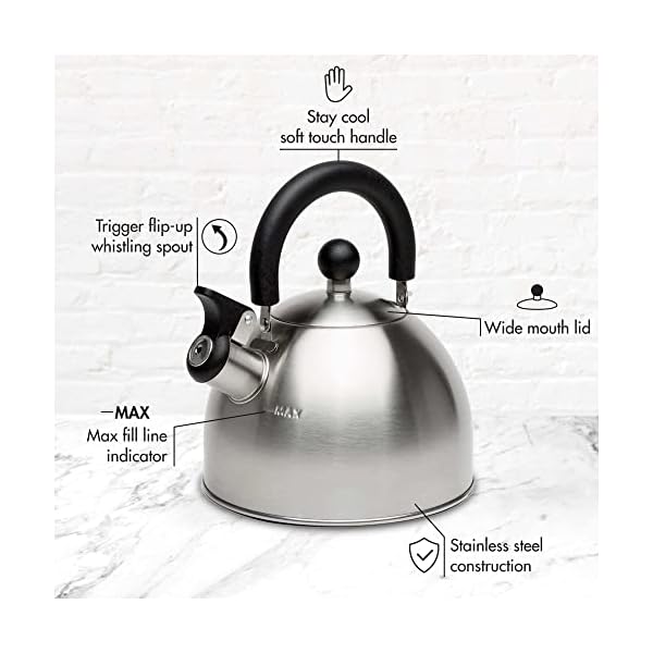 Primula Stewart Whistling Stovetop Tea Kettle Food Grade Stainless