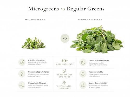 Image of Sunflower Microgreens Powder 30g Plant Based Greens Superfood | Complete Plant Protein >51% per gram | Vegan Green Powder | Rich in Vitamins B1-B9 | Rich in Potassium and Magnesium| No Additives
