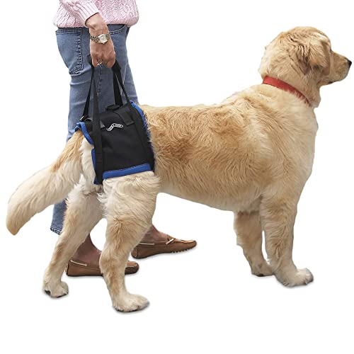 Walkabout Back End Harness, Dog and Cat Lifting Aid for Pets Needing Assistance with Walking/Mobility - A Dog Support Harness for Back Legs (Large 29-31
