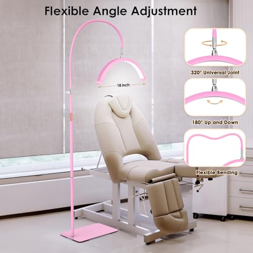 Image of Half Moon Light for Lash Tech, Flexible Lash Lamp with Phone Holder for Eyelash Nail Art Tattoos Skincare, 5 Color Temperatures & Brightness Setting LED Floor Lamp Esthetician Light