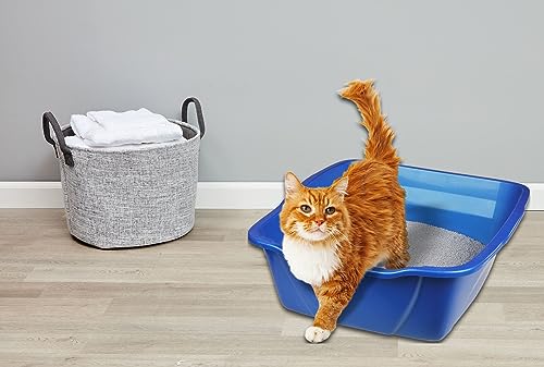 Arenero gigante para gatos Van Ness, color azul miniatura 4