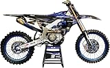 NewRay