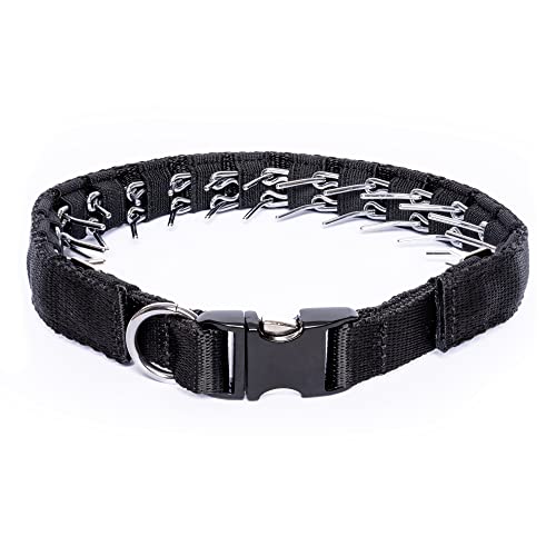 Collar de Fuerza SK9 con púas de Acero Cromado y Hebilla Metálica. para Adiestramiento, Antitirones (56 cm) Cover