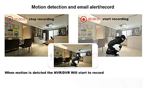 Xenocam 16CH 5M-N/1080N Full High Definition Hybrid AHD/TVI/CVI/Analog/IP DVR H.265 CCTV Video Recorder P2P Remote Phone Monitoring für Home Security Surveillance System Kamera (Keine HDD)
