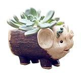 Youfui Cute Animal Flowerpot for Succulent Plants Home Decoration (Elephant)