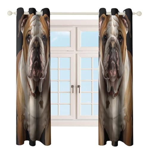 Rideaux occultants bouledogue anglais isolation thermique de salon