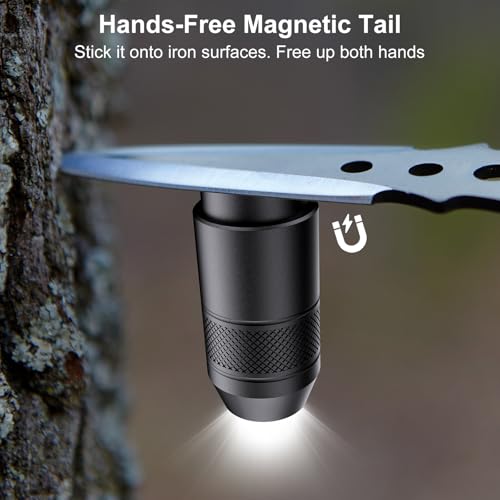 Image of 2-Pack Mini Keychain Flashlights, 100 Lumens, USB-C, Black