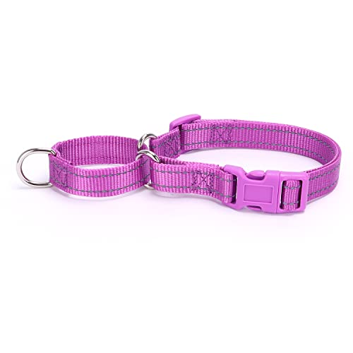 haoyueer Reflective Nylon Martingale Collar
