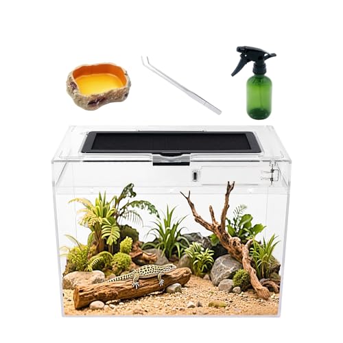 Reptile Growth Mini Reptile Terrarium 12 x 7x 9 vivarium with Top Sliding Door Screen Ventilation for Small Fish Insect Snail Gecko Tarantula Bearded Dragon Jumping Spider Stick Insect.