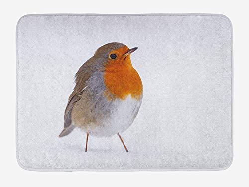 BUZRL Bird Bath Mat, Cute European Robin Standing in Snow Songbird Beak and Feathers Winter Season, Plush Bathroom Decor Mat with Non Slip Backing, 23.6 W X 15.7 W Inches, Tan Orange White
