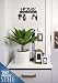 M-KeyCases Colgador de Llaves Pared Colgador Sweet Home (10 Ganchos) Guardallaves Decorativo...