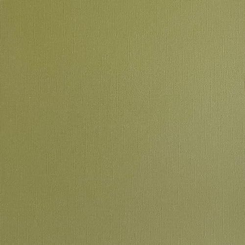 Papier cartonné texturé vert Thyme 30,5x30,5 cm pour scrapbooking - 2