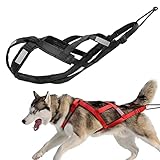 fabricar trineo para perros uso: entrenamiento de mascotas, caminar, correr