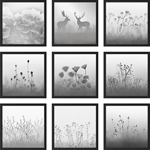 SIGNWIN Framed Wall Art Collage Print Gallery Set Grayscale Vintage