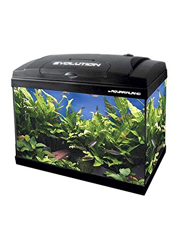 Haquoss - Acuario Evolution 50 - Capacidad 53 litros - Medidas 50 x 30 x 44 cm - Peso 10,5 kg - Material Cristal de 4 mm - Iluminación LED - Luz Blanca 9000 Kº - Potencia 6 W