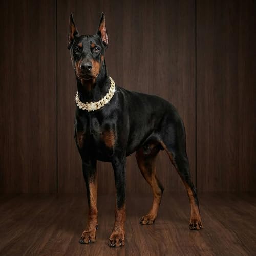 Image of Dog Chain Diamond Collar Walking Metal Chain Collar with Design Secure Buckle, Pet Collar Jewelry Accessories for Small Medium Large Dogs Cats (Gold, 14 Inch)