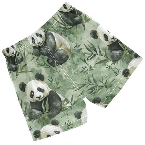Pigsaly Boys' Swim Board Shorts Cute Watercolor Black White Pandas Green Plants Boy's Swim Trunks Kids Swimwear 5T2
