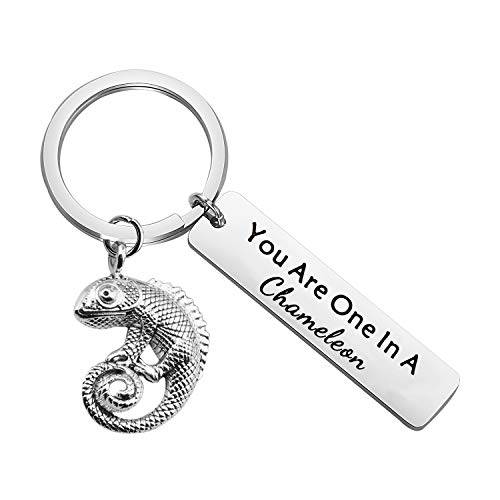 CHOORO You Are One In A Chameleon Keychain Chameleon Pendant Jewelry Happy Anniversary Birthday Valentine’s Day