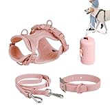 Hundegeschirr Set – Hundegeschirr | Katzengeschirr Leine Set | PVC verstellbare Haustierweste mit...