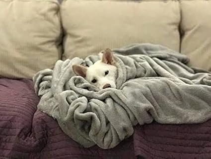 OMAJA HOME Premium Dog/Cat Blanket, Soft and Warm Pet Throw for Dogs & Cats Double ply for All Season 50 X 80 inches Multicolor - (Pack of 1)