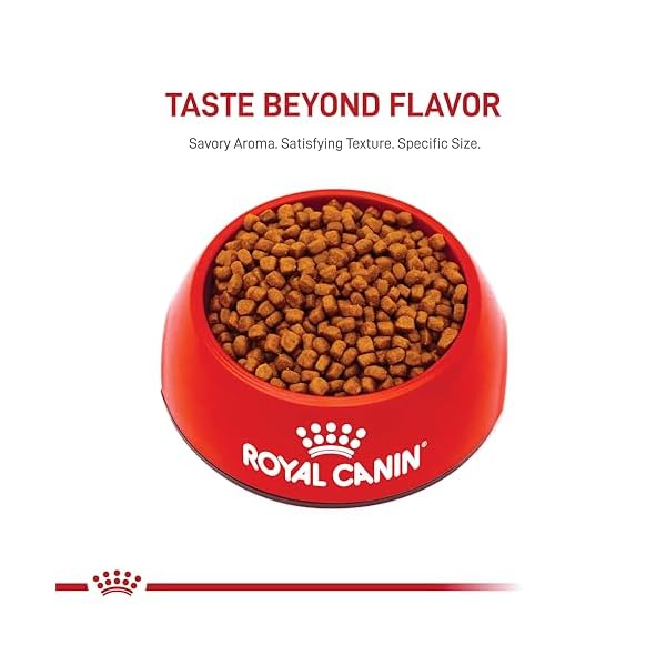 ROYAL CANIN Breed Health Nutrition Persian Kitten Dry cat Food, 3-Pound by Royal Canin – Bild 11