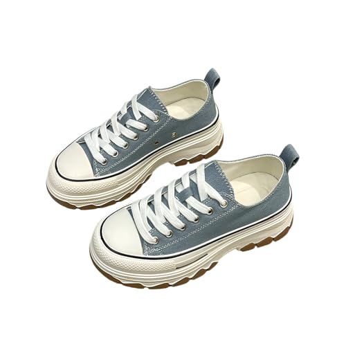 [Miflaier] Xj[J[ ` p LoX V[Y y K݌v t w JWA}`X^C Ȃ zCg