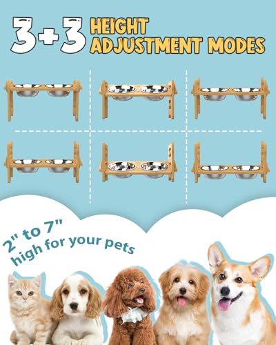 Elevated Dog Bowls Adjustable Raised Dog Bowls Stand for Small Size Dogs and Cats Durable Bamboo Dog Feeder with 2 Stainless Steel Bowls and Nonslip Feet Dog Food Bowls with Silicone Mat  Cucciolini Doodles Elevated dog bowls adjustable raised dog bowls stand for small size dogs and cats durable bamboo dog feeder with 2 stainless steel bowls and non slip feet dog food bowls with silicone mat   cucciolini doodles