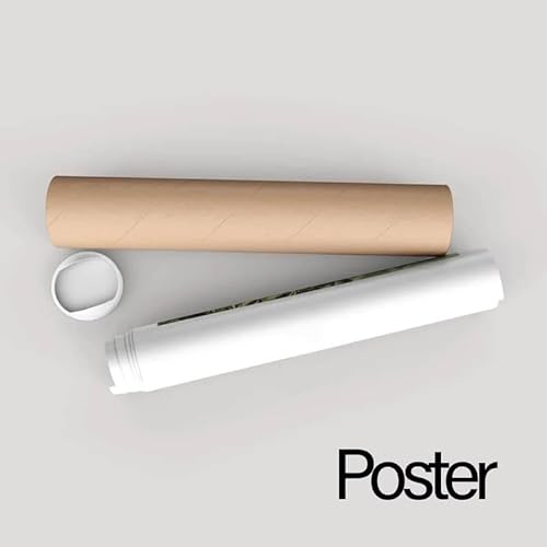 Generic Classification Of Matter Chemistry Poster, Chemistry Education Reference Matter Classification thumb #2