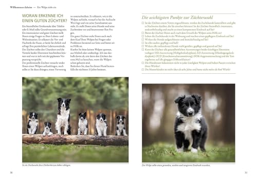 Border Collie: Auswahl, Haltung, Erziehung, Beschäftigung (Praxiswissen Hund)