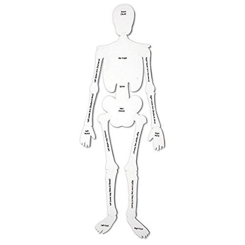 Learning Resources Skeleton Floor Puzzle - Science Classroom Must Haves, STEM Student Essentials, Practice Anatomy, Back to School Supplies for Teachers, Ages 3+ by Learning Resources - Image 2