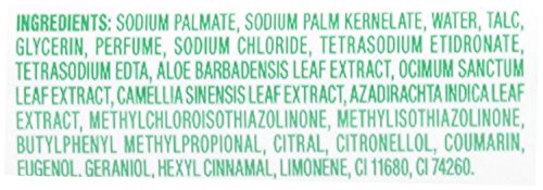 Hamam Bathing Soap - Neem, Tulsi and Aloe Vera, 100g Pack