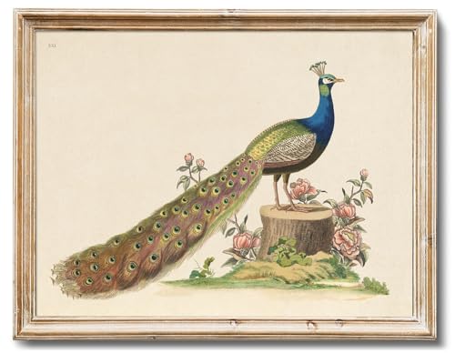 RETRART Elegant Peacock Wall Art with Pink Blossoms, Peacock Decor 8x10 Inch Unframed Canvas Print, Antique Bird Print Vibrant Animal Painting for Living Room, Bedroom Decor Nature-Inspired Serenity