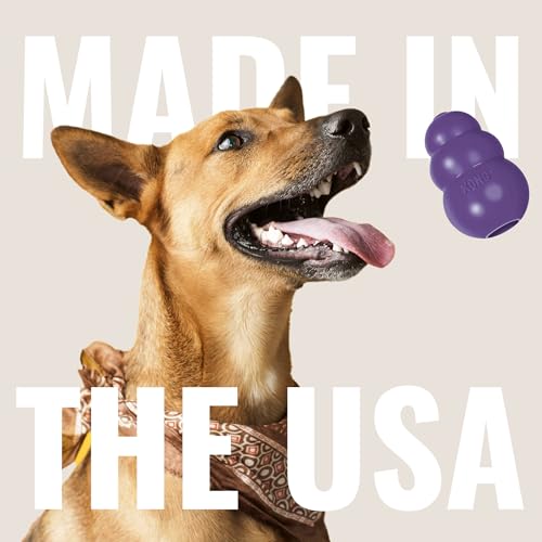 KONG Senior - Hundespielzeug aus Sanftem Naturkautschuk - Befüllbares Leckerli-Spielzeug für Ältere Hunde - Für Große Hunde