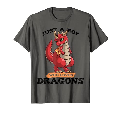 Divertido regalo de dragones para niños niños Cool mítico criatura amor Camiseta