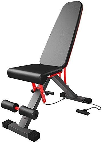 DFGHNBVC Banco De Pesas Ajustable, Banco De Pesas para Entrenamiento De Cuerpo Completo, Banco De Pesas Ajustable, Equipo De Fitness para Interiores, Tabla De Abdominales, Banco Musk